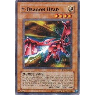 Y-Testa Drago