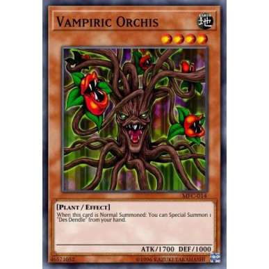 Orchidea Vampir