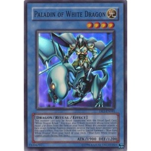 Paladino del Drago Bianco