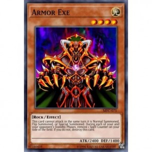 Armatura Exe