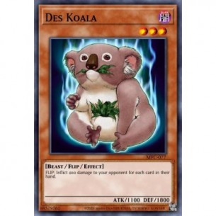 Des Koala
