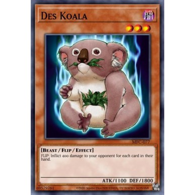 Des Koala