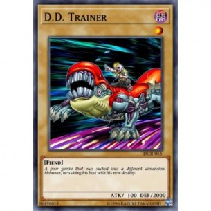 Allenatore D.D.