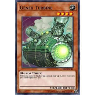 Genex Turbina