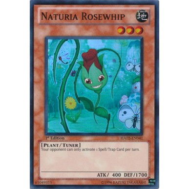 Naturia Frustarosa