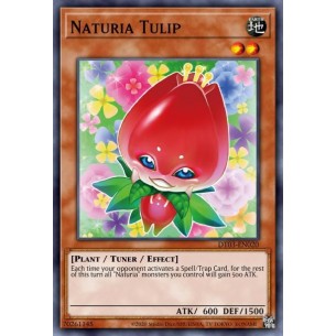 Naturia Tulipano
