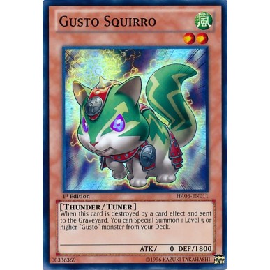Gusto Squirro