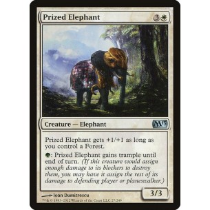 Prized Elephant