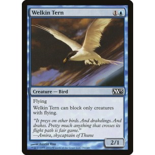 Welkin Tern