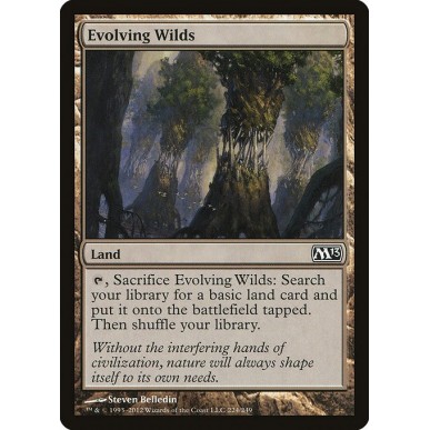 Evolving Wilds
