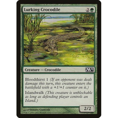 Lurking Crocodile