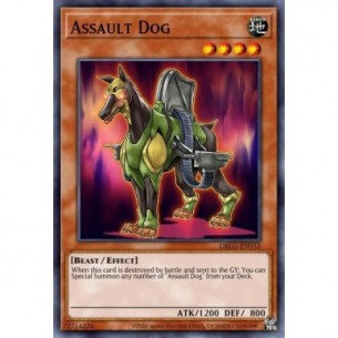 Cane d'Assalto