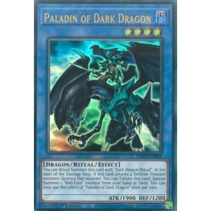Paladino del Drago Nero...