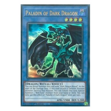 Paladino del Drago Nero (V.1 - Gold)