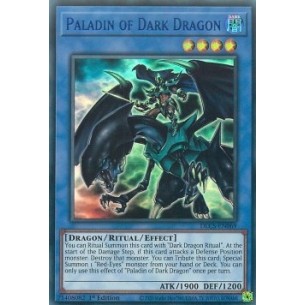 Paladin of Dark Dragon (V.2...
