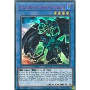 Paladin of Dark Dragon (V.4...