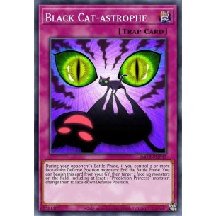 Catastrofe del Gatto Nero