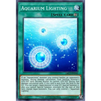 Illuminazione Acquario