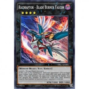 Raidraptor - Falco Lama...