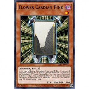 Fiore Cardian Pino