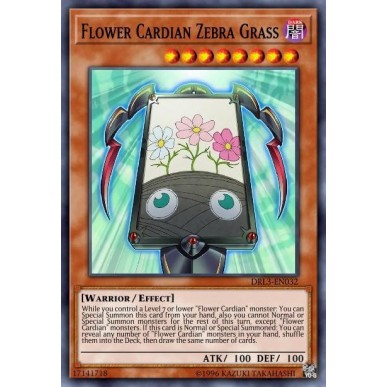 Flower Cardian Zebra Grass