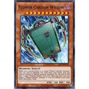 Fiore Cardian Salice