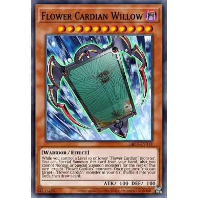 Fiore Cardian Salice