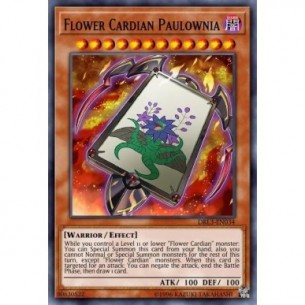 Fiore Cardian Paulownia