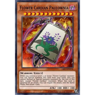 Fiore Cardian Paulownia