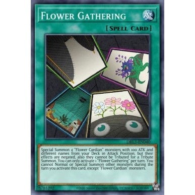Adunata dei Fiori