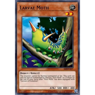 Larva di Falena