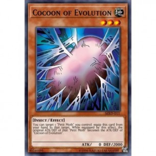 Bozzolo dell'Evoluzione