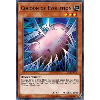 Bozzolo dell'Evoluzione