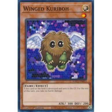 Winged Kuriboh (V.1 - Common)