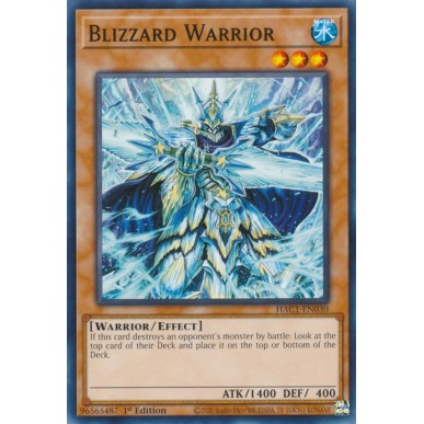 Blizzard Warrior (V.1 - Common)