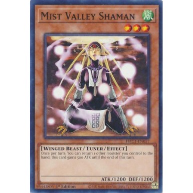 Mist Valley Shaman (V.2 - Duel...