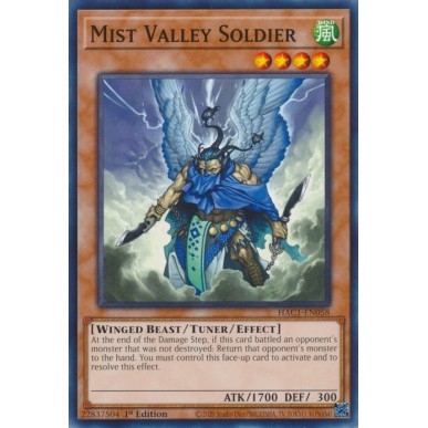 Soldato della Valle delle Nebbie (V.1...