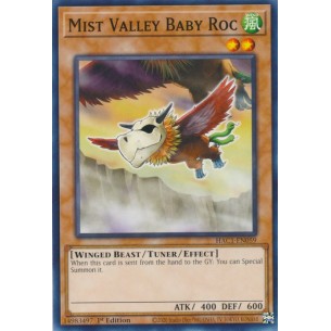 Baby Roc della Valle delle...