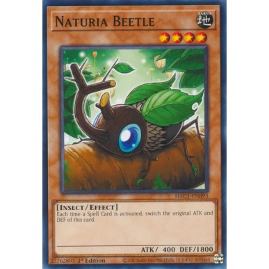 Naturia Beetle (V.1 - Common)