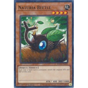 Naturia Coleottero (V.2 -...