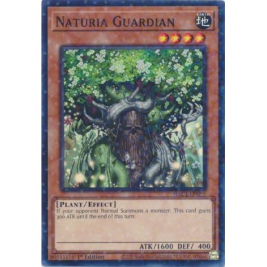 Naturia Guardian (V.2 - Duel Terminal...