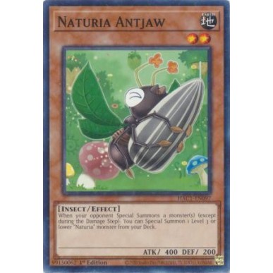 Naturia Mascellaformica (V.2 - Duel...