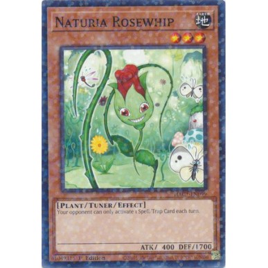Naturia Rosewhip (V.2 - Duel Terminal...