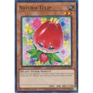 Naturia Tulipano (V.2 -...