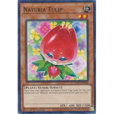 Naturia Tulipano (V.2 - Duel Terminal...