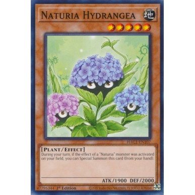 Naturia Hydrangea (V.1 - Common)