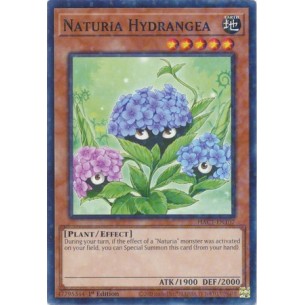 Naturia Ortensia (V.2 -...