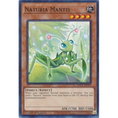 Naturia Mantide (V.2 - Duel Terminal...