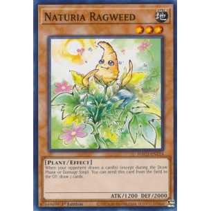 Naturia Ambrosia (V.1 -...