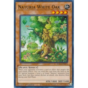 Naturia Quercia Bianca (V.1...